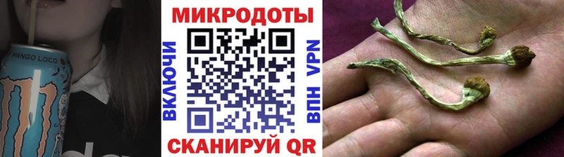 где купить наркоту  Зеленоградск  Галлюциногенные грибы Magic Shrooms 
